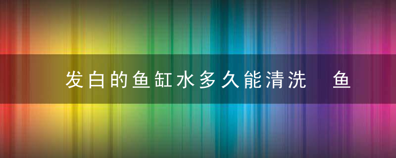 发白的鱼缸水多久能清洗 鱼缸水白浑几天能好